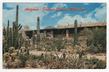 Load image into Gallery viewer, Arizona-Sonora Desert Museum, Tucson, Arizona, USA Vintage Original Postcard # 1865 - Post Marked May 25, 1961