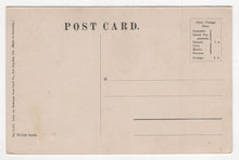 Load image into Gallery viewer, Umbrella Trees, Germany - Vintage Original Postcard # 1889 - New - 1930's