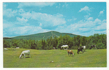 Load image into Gallery viewer, Bromley Mountain, Manchester, Vermont, USA - Vintage Original Postcard # 2362 - New - 1960's - NM