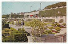 Load image into Gallery viewer, Floral Gardens, Niagara Falls, Ontario, Canada - Vintage Original Postcard # 2399 - New - 1960's