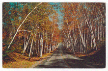 Load image into Gallery viewer, Vacationland, Maine, USA Vintage Original Postcard # 2459 - New 1970's