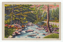Load image into Gallery viewer, Scenic River Landscape and View, USA - Vintage Original Postcard # 2610 - New 1960's