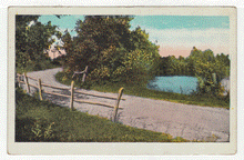 Load image into Gallery viewer, Country Road Landscape and View, USA - Vintage Original Postcard # 2614 - New 1960's