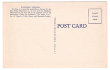 Load image into Gallery viewer, Clearmont Height, Roanoke, Vermont, USA (Wellington Ave.) Vintage Original Postcard # 1229 - New - 1940's