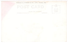 Load image into Gallery viewer, Dawson Falls, Clearwater, British Columbia, Canada - Vintage Original Postcard # 1369 - New - 1940's