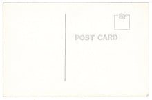 Load image into Gallery viewer, Tobacco in Dixie, Mississippi, USA Vintage Original Postcard # 1383 - New - 1950's
