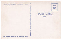 Load image into Gallery viewer, Cattle in the Rookies, USA - Vintage Original Postcard # 1462 - New - 1960's VG