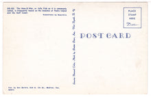 Load image into Gallery viewer, Man-O-War or Jelly Fish, Padre Island, Texas, USA - Vintage Original Postcard # 1465 - New - 1960's VG