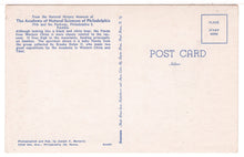 Load image into Gallery viewer, Panda - The Academy of Natural Sciences of Philadelphia, USA - Vintage Original Postcard # 1469 - New - 1960's VG