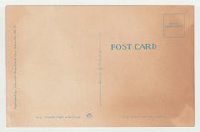 Load image into Gallery viewer, A Mountain Roadway, USA Vintage Original Postcard # 1485 - New - 1960's VG