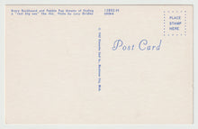 Load image into Gallery viewer, A Rock-Hound's Dream - Vintage Original Postcard # 1554 - New - 1962