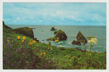 Load image into Gallery viewer, Pacific Coastline, California, USA Vintage Original Postcard # 1561 - New - 1960's