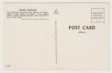 Load image into Gallery viewer, Pacific Coastline, California, USA Vintage Original Postcard # 1561 - New - 1960's