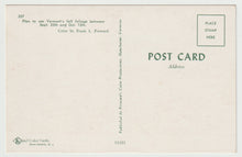 Load image into Gallery viewer, Fall Foliage, Vermont, USA - Vintage Original Postcard # 1583 - New - 1970's