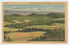 Load image into Gallery viewer, Scrub Ridge Summit, Tuscarora Summit, Pennsylvania, USA Vintage Original Postcard # 1675 - New - 1940's