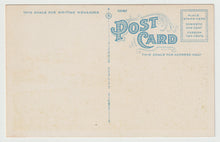 Load image into Gallery viewer, Ocean Pathway, Ocean Grove, New Jersey, USA Vintage Original Postcard # 1685 - New - 1930's
