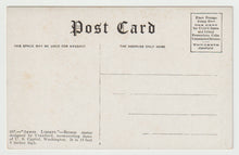 Load image into Gallery viewer, Armed Freedom - Dome of the Capitol Building, Washington D.C. USA Vintage Original Postcard # 1703 - New - 1920's