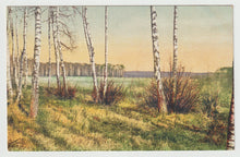 Load image into Gallery viewer, Birch Trees by Lake in Switzerland - Art - Painting - Vintage Original Postcard # 1724 - New - 1950's