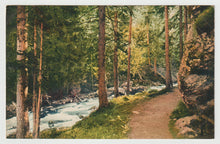 Load image into Gallery viewer, Pathway by the River in Switzerland - Art - Painting - Vintage Original Postcard # 1729 - New - 1950's