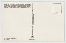 Load image into Gallery viewer, U.S. President Jimmy Carter's Inauguration - Peanut Brigade, USA - Vintage Original Postcard # 1774 - New - January 20, 1977