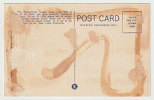 Load image into Gallery viewer, Great Lakes Exposition, Cleveland, Ohio, USA (Horticultural Gardens) Vintage Original Postcard # 1801 - New - 1950's