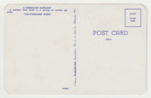 Load image into Gallery viewer, A Woodland Hand-Out - Vacationland Scene, USA - Vintage Original Postcard # 1937 - New - 1970's - VG