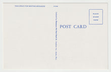 Load image into Gallery viewer, Greetings - Lunch Time in Maine, USA - Vintage Original Postcard # 1988 - New, 1960's - NM