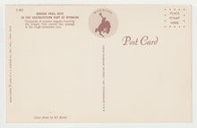 Load image into Gallery viewer, Oregon Trail Ruts, Wyoming USA - Vintage Original Postcard # 1999 - New - 1960's - NM