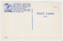 Load image into Gallery viewer, US President William Henry Harrison - Vintage Original Postcard # 2004 - New, 1980's - NM