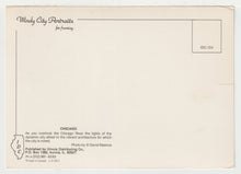 Load image into Gallery viewer, Chicago, Illinois, USA - Evening City View - Vintage Original Postcard # 2089 - New - 1990's - VG