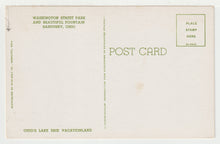 Load image into Gallery viewer, Washington Street Park, Sandusky, Ohio, USA Vintage Original Postcard # 2117 - New - 1960's