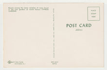 Load image into Gallery viewer, Cypress Gardens, Winter Haven, Florida, USA Vintage Original Postcard # 2126 - New - 1960's - NM
