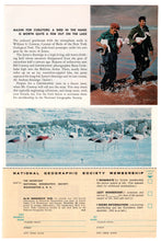 Load image into Gallery viewer, P&O Orient Cruise Lines Vintage Ad - (Run Away to the Sea) # 165 - 1960's