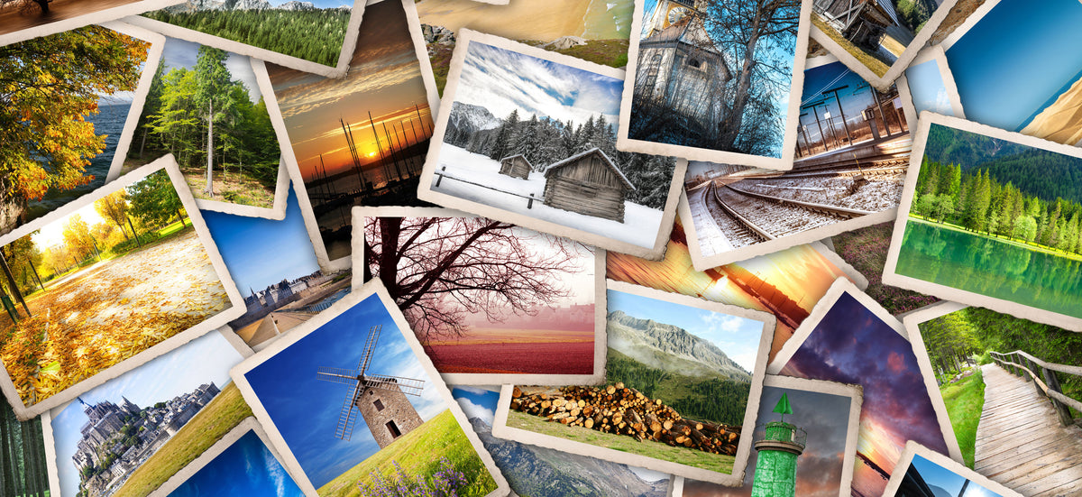 Cartoon and Humour Postcards – PictureYourDreams
