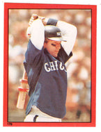 Carlton Fisk - Chicago White Sox (MLB Baseball Card) 1982 Topps Stickers # 170 Mint