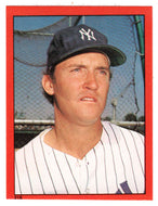 Graig Nettles - New York Yankees (MLB Baseball Card) 1982 Topps Stickers # 215  Mint