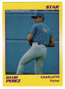 David Perez - Charlotte Rangers (Minor League Baseball Card) 1990 Star # 25 Mint