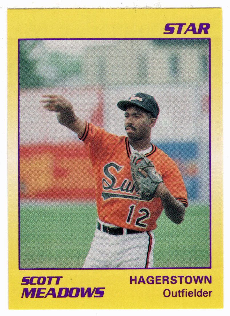 Scott Meadows - Hagerstown Suns (Minor League Baseball Card) 1990 Star # 75 Mint