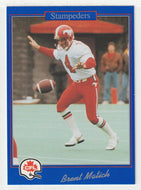Brent Matich - Calgary Stampeders (CFL Football Card) 1991 Jogo # 71 Mint