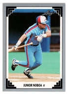 Junior Noboa - Montreal Expos (MLB Baseball Card) 1991 Leaf # 255 Mint