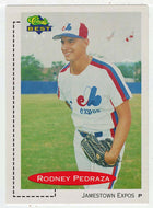Rodney Pedraza - Jamestown Expos (MLB - Minor League Baseball Card) 1991 Classic Best # 425 Mint