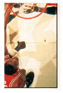 Finals (Action scene - Michael Jordan) (NBA Basketball) 1992-93 Panini Basketball Stickers # 18 Mint