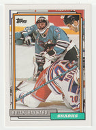 Brian Hayward - San Jose Sharks (NHL Hockey Card) 1992-93 Topps # 436 Mint