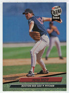 Peter Hoy - Boston Red Sox (MLB Baseball Card) 1992 Fleer Ultra # 315 Mint