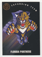 Florida Panthers Team Card (NHL Hockey Card) 1993-94 Leaf # 150 Mint