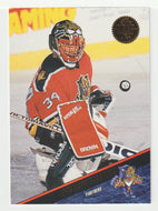 John Vanbiesbrouck - Florida Panthers (NHL Hockey Card) 1993-94 Leaf # 371 Mint