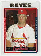 Anthony Reyes RC - St. Louis Cardinals (MLB Baseball Card) 2005 Topps Update # 14 Mint