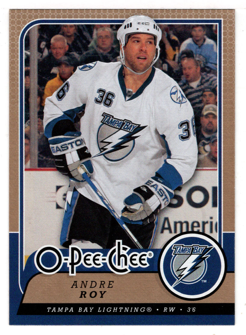 Andre Roy - Tampa Bay Lightning (NHL Hockey Card) 2008-09 O-Pee-Chee # 222 Mint