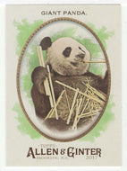 Giant Panda (MLB Baseball Card) 2017 Topps Allen and Ginter # 276 Mint