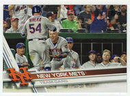 New York Mets Team Card (MLB Baseball Card) 2017 Topps # 426 Mint